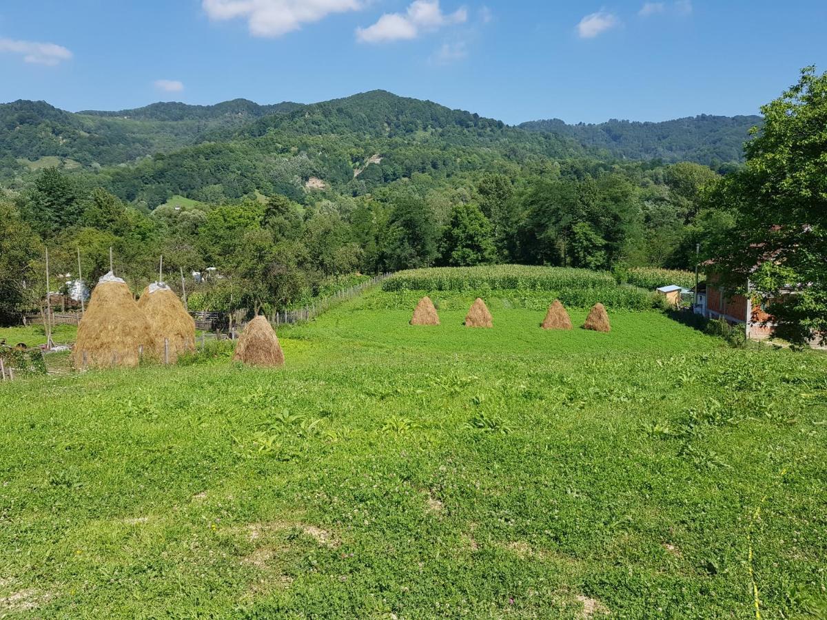 Heaven Guesthouse Corbeni Dış mekan fotoğraf
